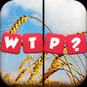 What The Pic?! Image