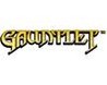 Gauntlet Image