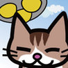 Cat Raid Image