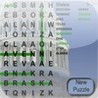 Word Search America Image