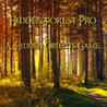 Hidden Forest Pro : A Hidden Object Game. Image