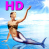 beautiful jigsaw HD Image
