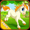 Baby Horse Run Image