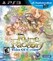 Rune Factory: Tides of Destiny Image