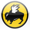 B-Dubs IL Image