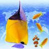 fishcut Image
