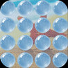 Bubble Pic LOL HD Image