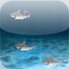 Shrewd Shark Image