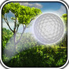 Forest Golf Image