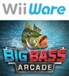 Big Bass Arcade Image