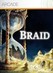 Braid Image