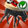 Donkeyboy Image