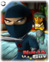 Ninja Guy Image