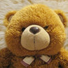 Bed Bears Image