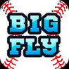 Big Fly Baseball Image