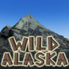 WILD ALASKA SLOT MACHINE Image