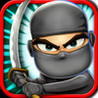 A Ninja Smasher Run in a Spider Temple - Crush Racing Monster Bugs Image