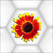 PuzzleTwistFlowers Image