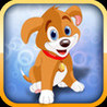 Fun Animal Run Image