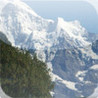 Scenic Puzzle HD Image
