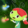 Wanderland Image
