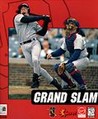 Grand Slam Image