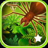 3D Jungle Creep Running Race Battle By Animal Escape Racing Challenge Games Pro Image