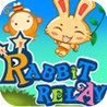 Rabbit Relay Image