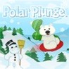Polar Plunge Image