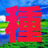Capability quiz for Pokemon Image