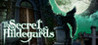 The Secret of Hildegards Image