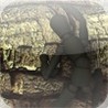 A Rock Climber Image