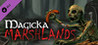 Magicka: Marshlands Image