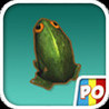 Pora Ora: Leapfrog Image