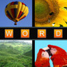 Word in 4 Pictures Image