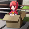 Fool Quiz Image