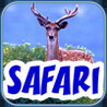 BabyFirst's Safari Scrapbook Image