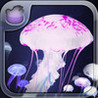 Tap Reef Jellyfish by JIRBO Image