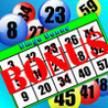 Bingo Bonus Maniac Pro Image