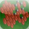 a 3D Rugby Peg ! Image