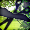 Escape:Brimming with Jealousy Image