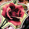 Escape: Secret Garden Image