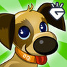 Tap Pet Hotel Image