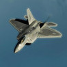 +Fighter+ Image