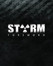 STORM:Neverending night - Foreword Image