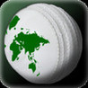 run Cricket Manager Image