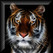 - Animal quiz - Image