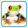 Animal Tap Image