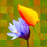Q-Puzzle Image