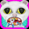 Kitty Dentist Image